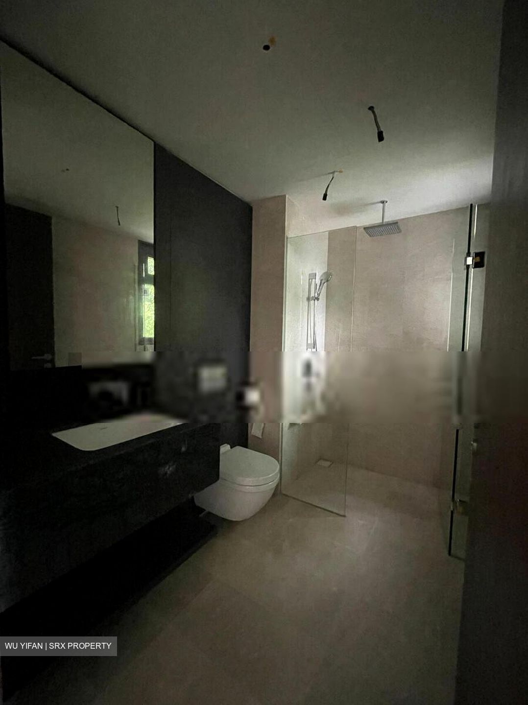 Dunearn 386 (D11), Apartment #401450901